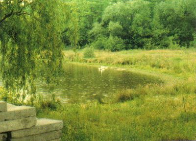 mandate 15748 fotozwei